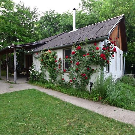 Igricz Farmhaz Villa Pocsmegyer ภายนอก รูปภาพ
