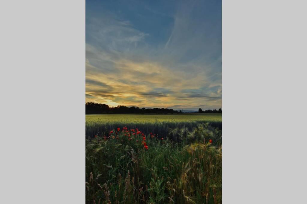 Igricz Farmhaz Villa Pocsmegyer ภายนอก รูปภาพ
