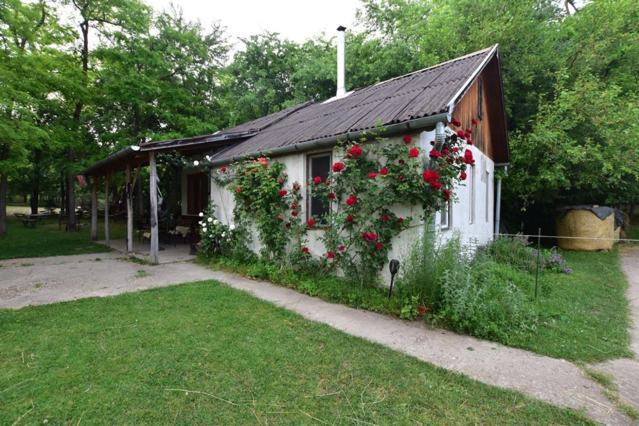 Igricz Farmhaz Villa Pocsmegyer ภายนอก รูปภาพ